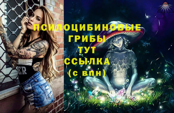 Альфа ПВП Абдулино