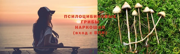 эйфоретик Абаза